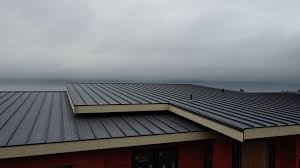 Best Green or Eco-Friendly Roofing Solutions  in Heartland, TX